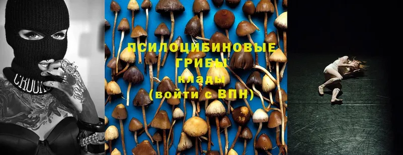 Галлюциногенные грибы MAGIC MUSHROOMS  блэк спрут вход  Старый Оскол 